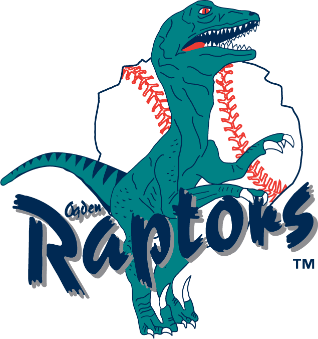 Ogden Raptors 1994-1999 Primary Logo iron on heat transfer